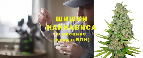 шишки Медвежьегорск