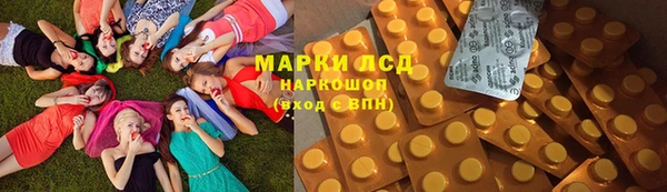 СК Медногорск